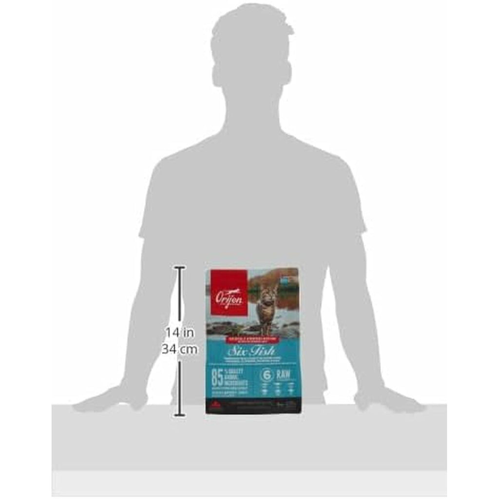 V2H1386FB1D6D1331E79256A843CCC7E442R6594755P6