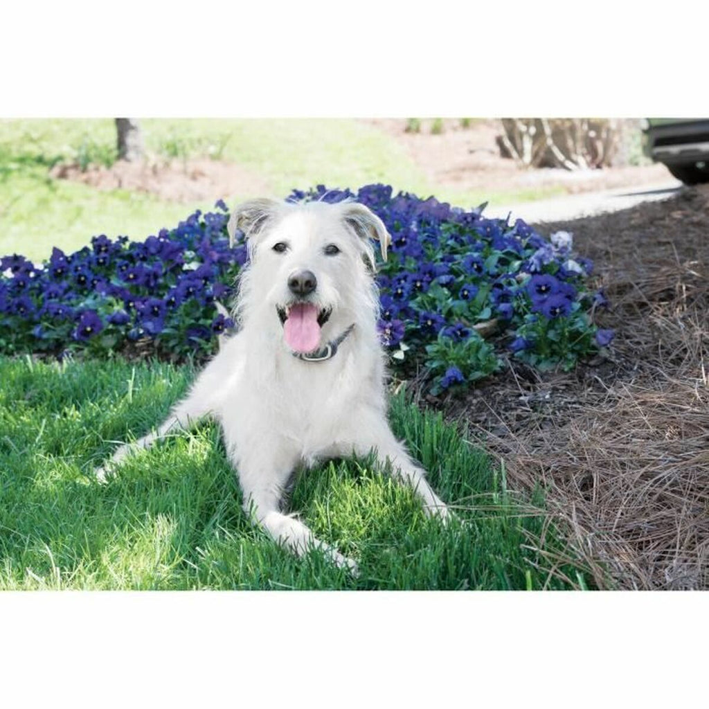 V2HA4B72434F1EBA3DBABB04CBF9D2D4FF2R5763546P6