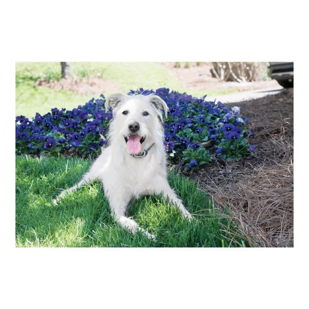 V2H3E7480BDFB42CB3B7F45E2DA40CF5A85R5763537P3