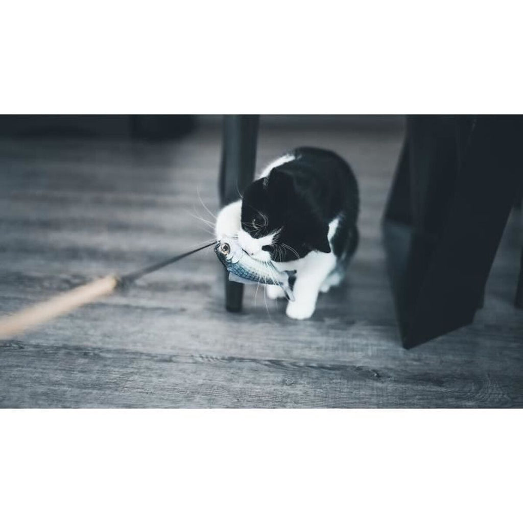 V2H039166CB86BB7FF5E6ACE5C522133F4AR7436892P4