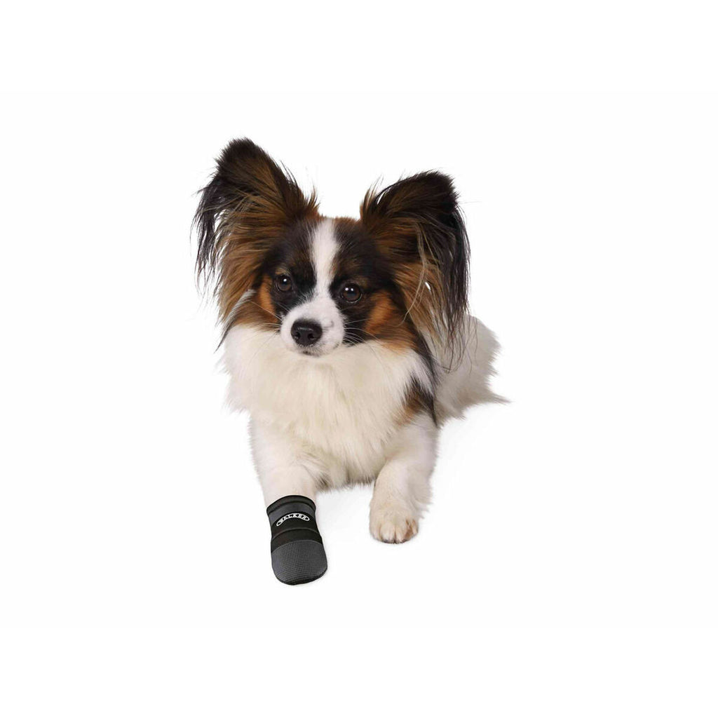 V2H14C6B6798499FCF4FDA1D960A57DC2C4R5344602P3