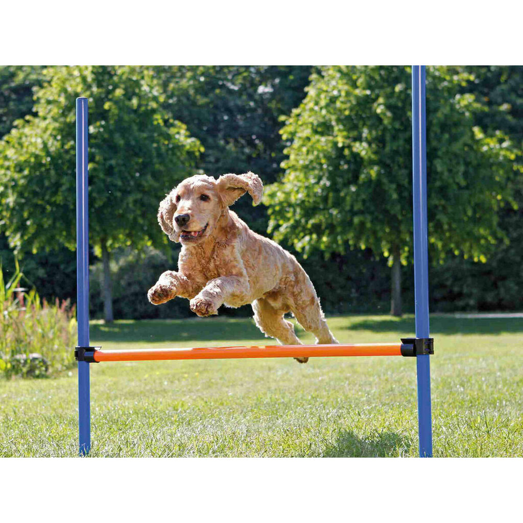 V4H82DB99B6E1FCB91CFA4C93C334CABE1BR5483552P2