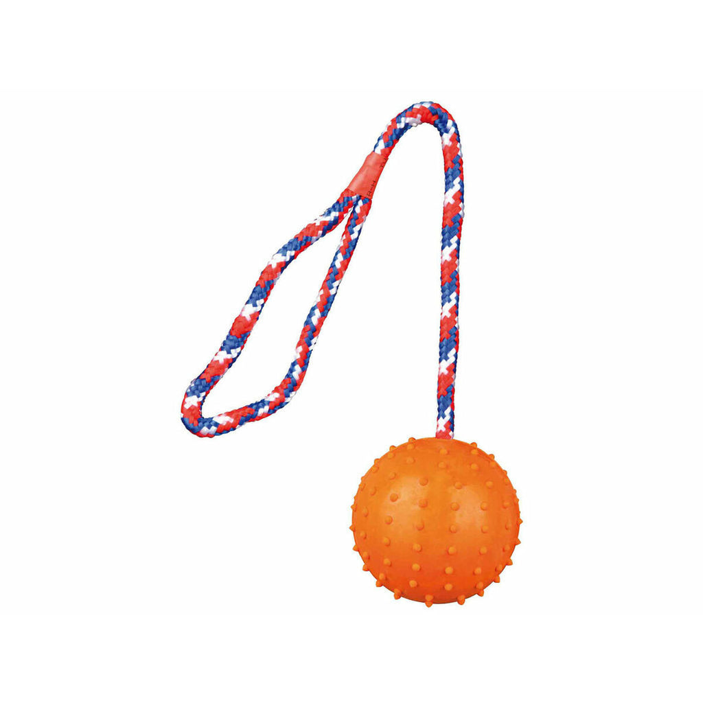 V7H04ED0C13D43266C39E553344791E45A0R6370126P3