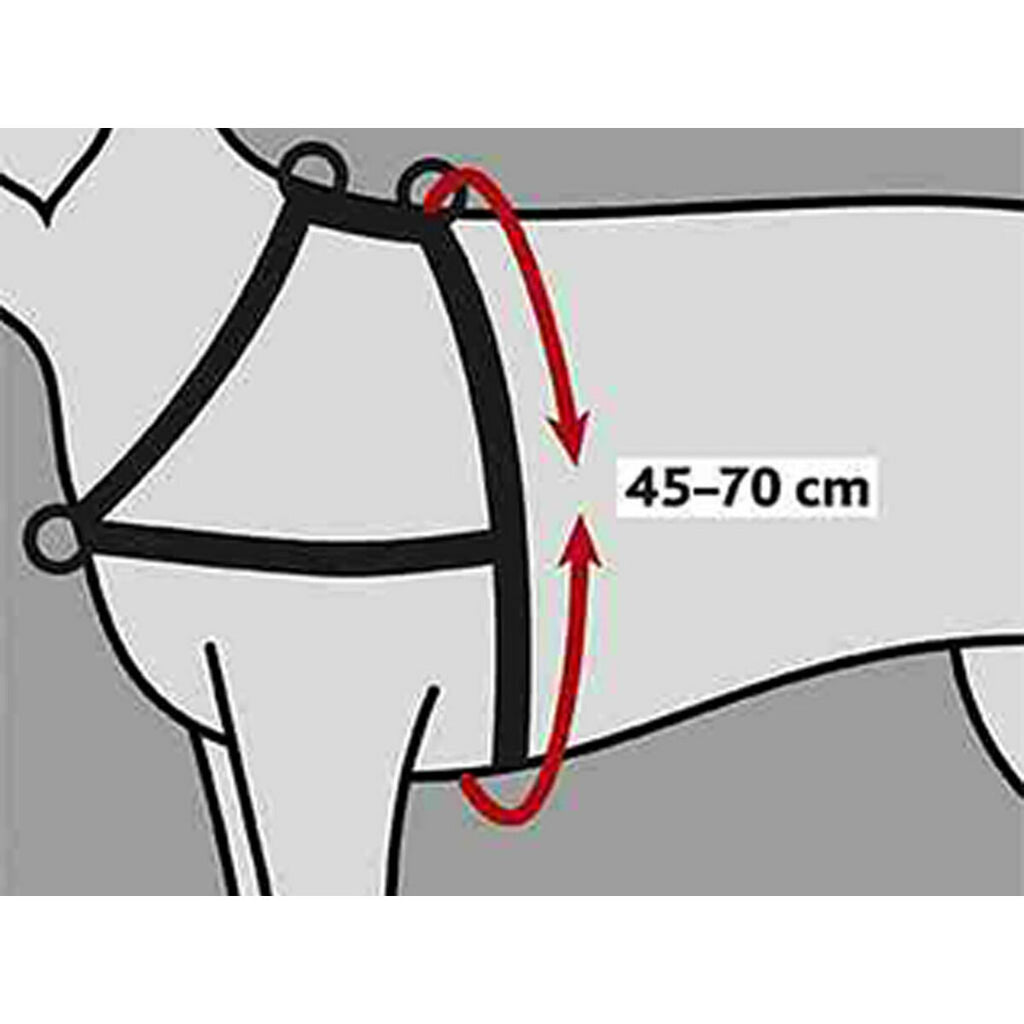 V5HA04315C0631CFC2E23A4C38AD74ED865R5446990P2