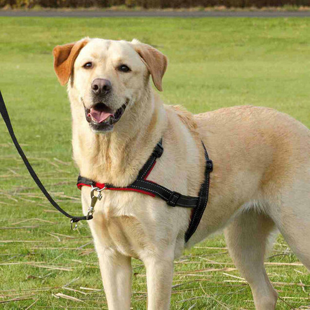 V5HD7E397FB7C2ED7406D6A4E65019F65D4R5446996P8