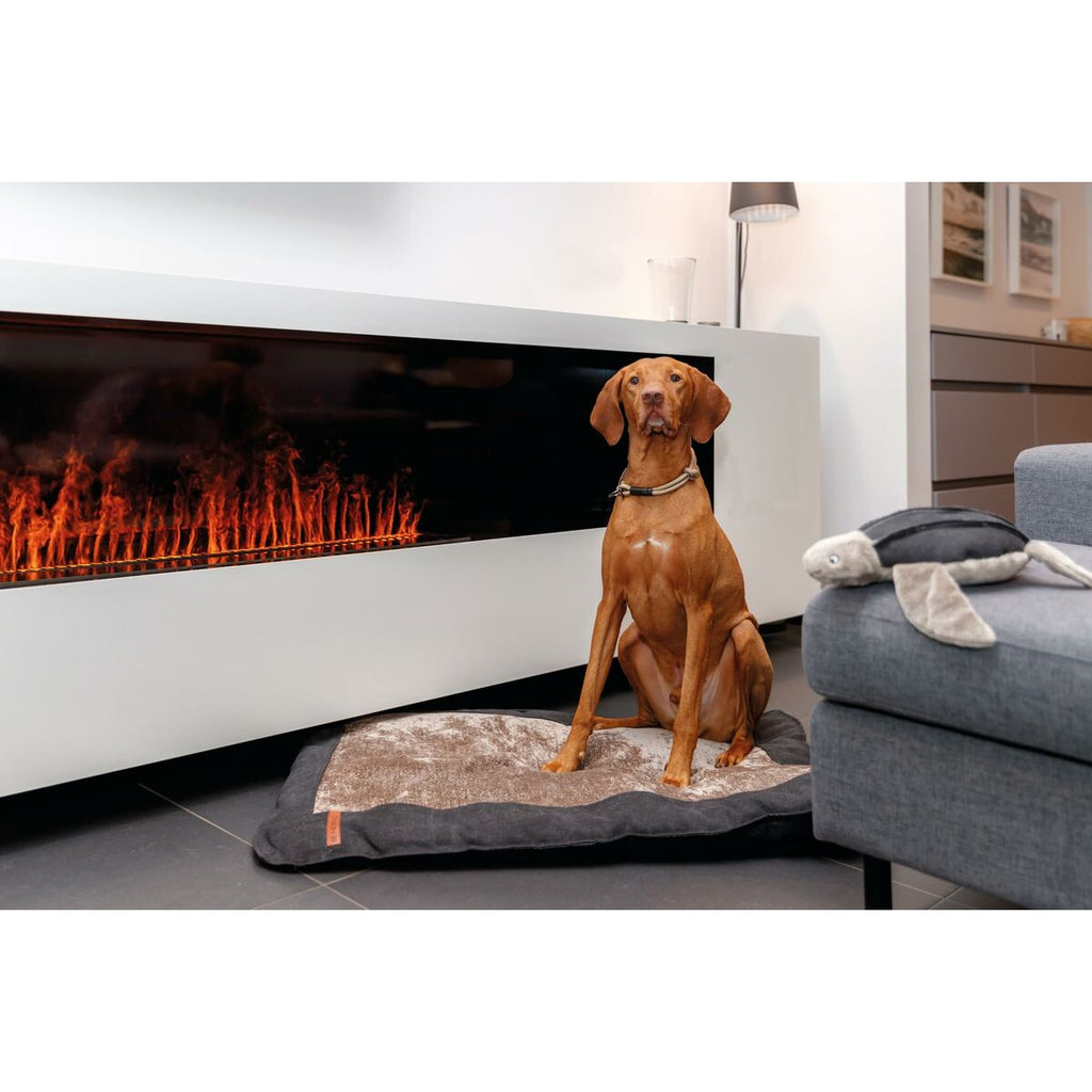 V4H83B54A80C6C8DD6B3B6CC65A96222994R5330487P4