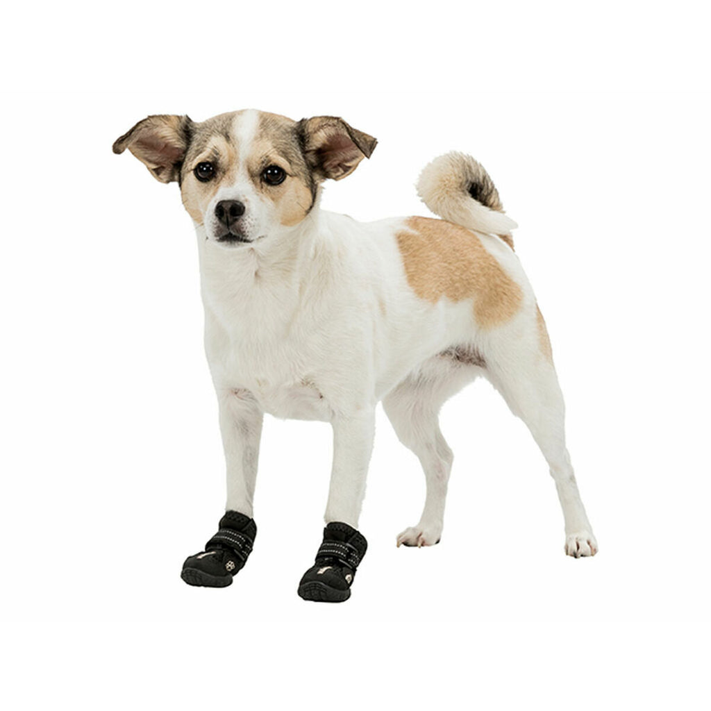 V2HAB8CBA8B1BF7F608F13F53AF8B2028A0R5344589P5