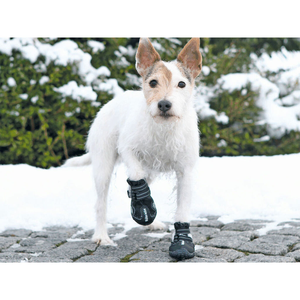 V4H4FAEBABFC23E95227BCE25E2580A492CR5073375P3