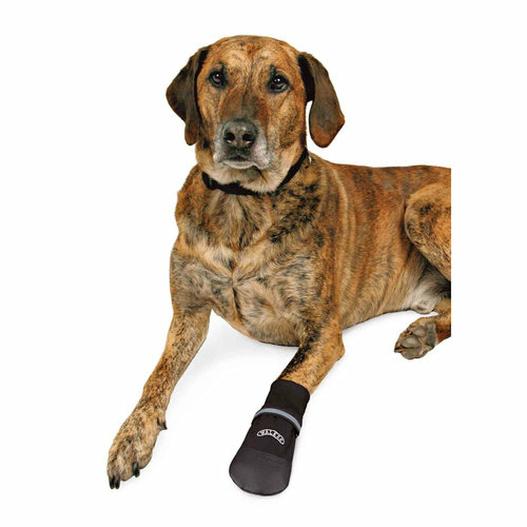 V2HCA05675DFE1F51FF511278502264C826R5344614P4