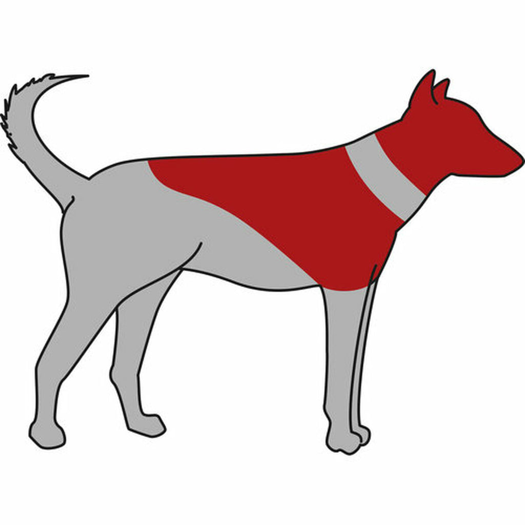 V4H8FE8A9DCCE96924161B532D15E279AEFR5331988P6