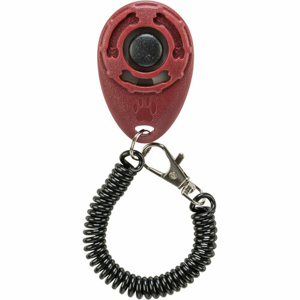 V3H7DCC51A69E63E30CC0312982E347B56ER5531498P10