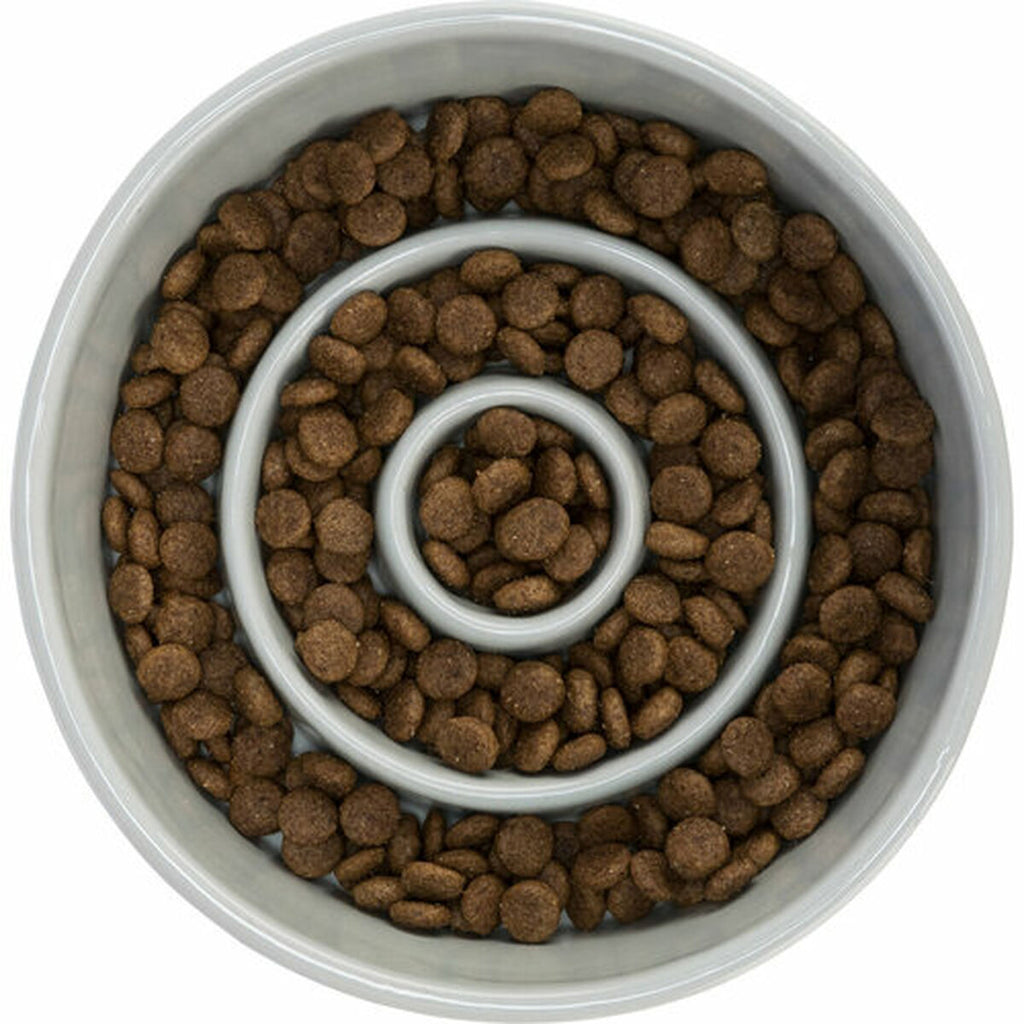 V6HF2D912337D8824DC496F4805FA478705R5366901P8