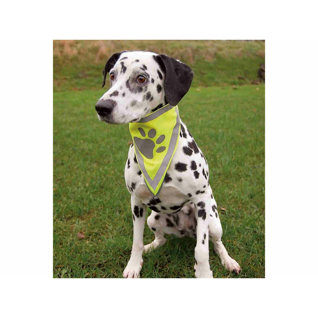 V3H7E2D07EAE8004EC3A9EFB85E491777EER5540399P3