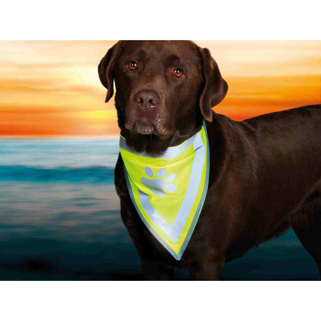 V3H5543C317D3B7A3A51B247C6B5821EA0FR5540403P5