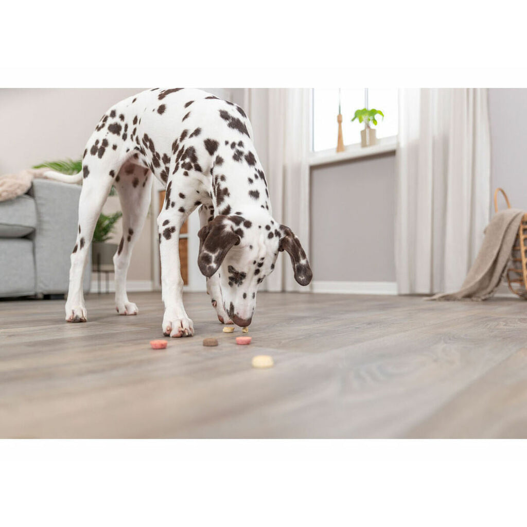 V3HCFD4E1BF4D0B01308AD23D699017042ER5592618P4