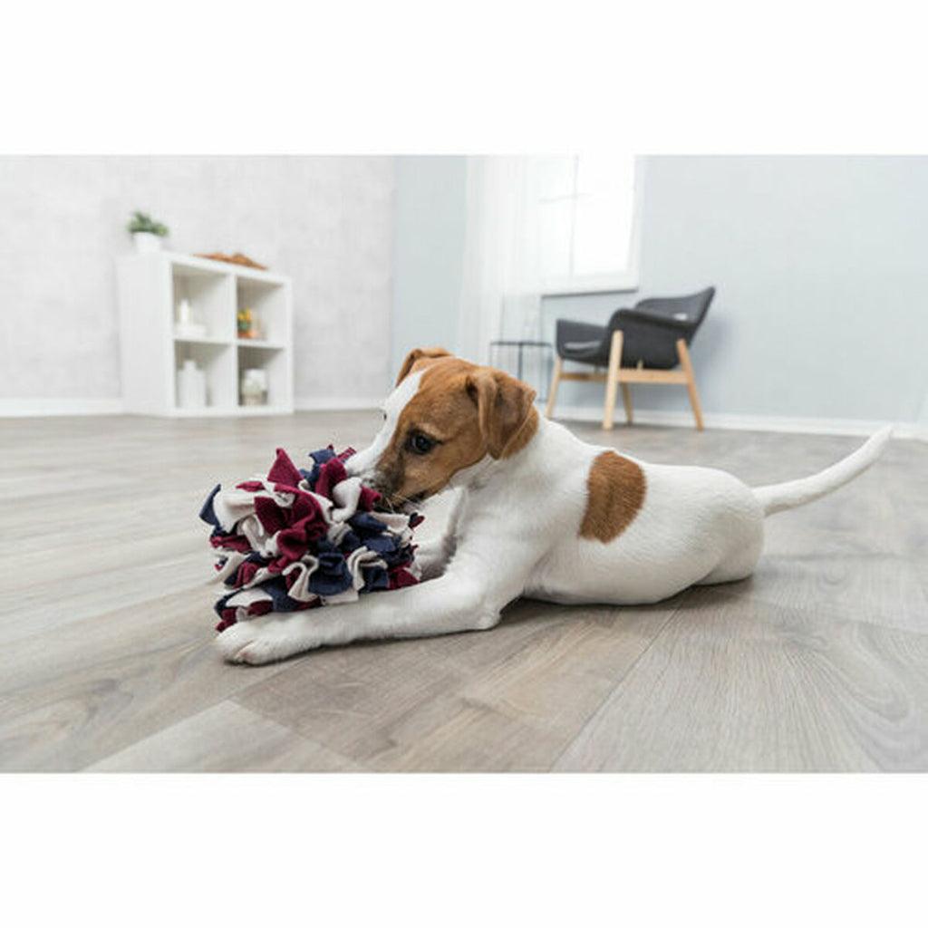 V6HD5A1592A22F52ADA6E9797F2E1217B79R5433758P10