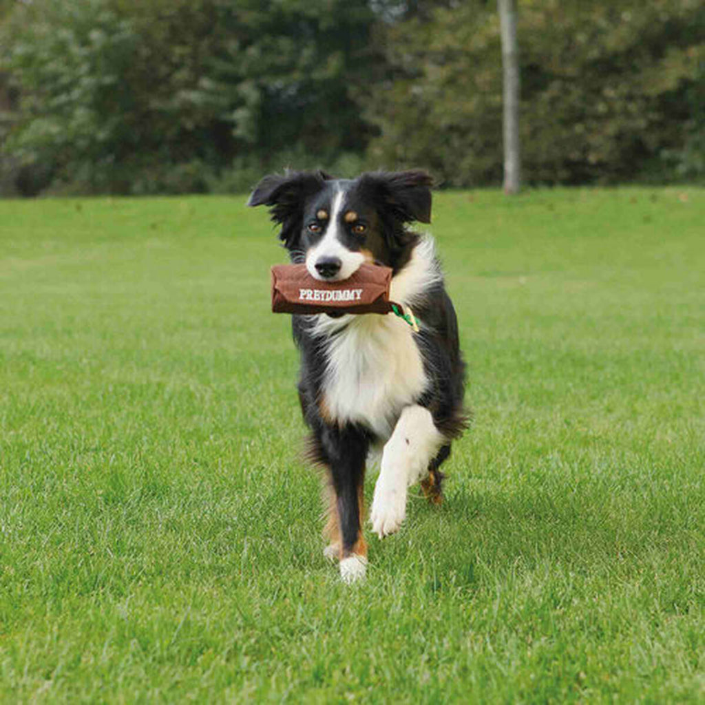 V5H49AF48A64A234A065A972BC65603367FR5483346P4