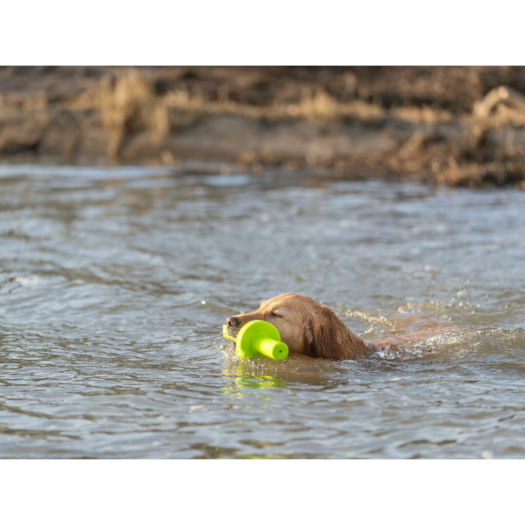 V5H3E44AD330A4D8738C7B91D1BD11CEB80R5439879P7