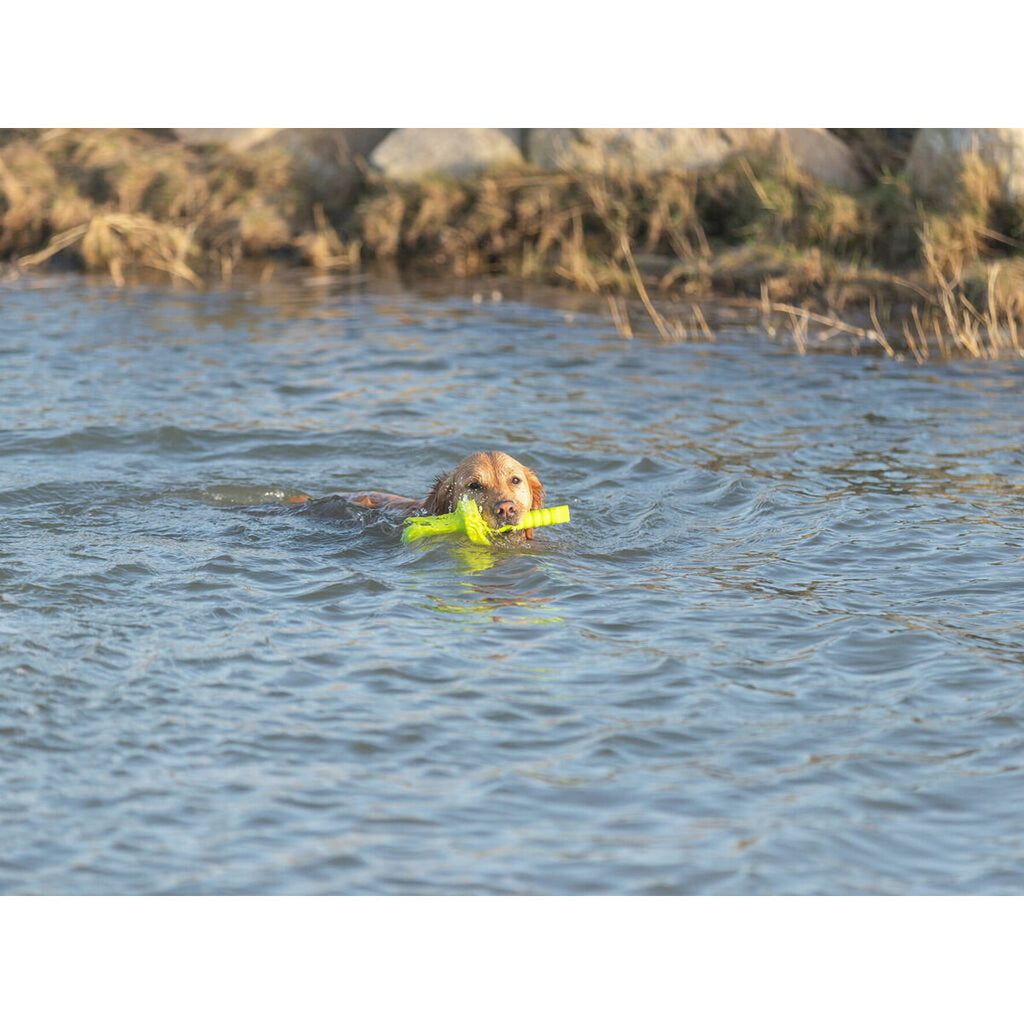 V5HA4DC82D85B6F445B4B9DC09146AD1BB9R5439885P9