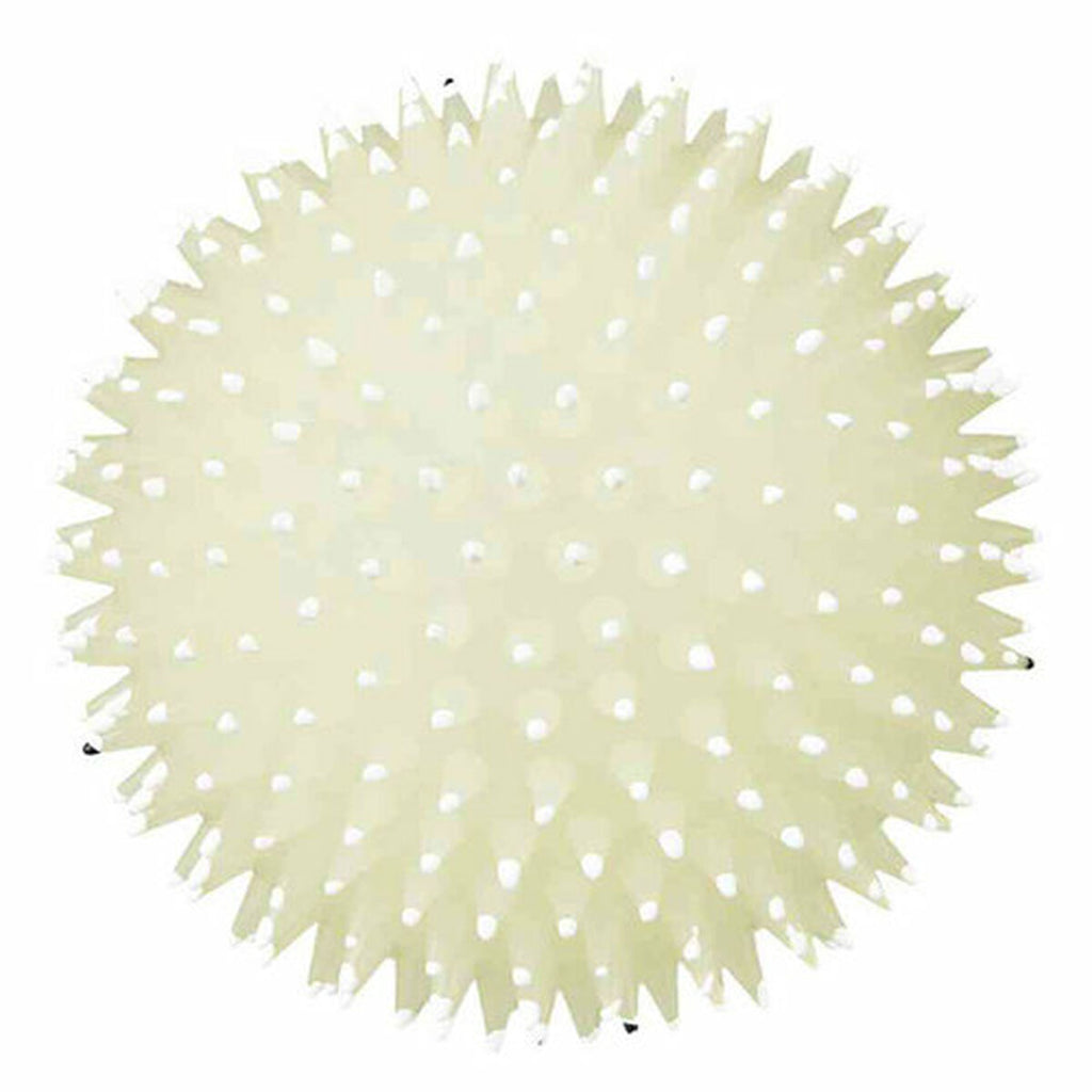 V5HE4104962963043D2D053B94137EFD631R5439989P4