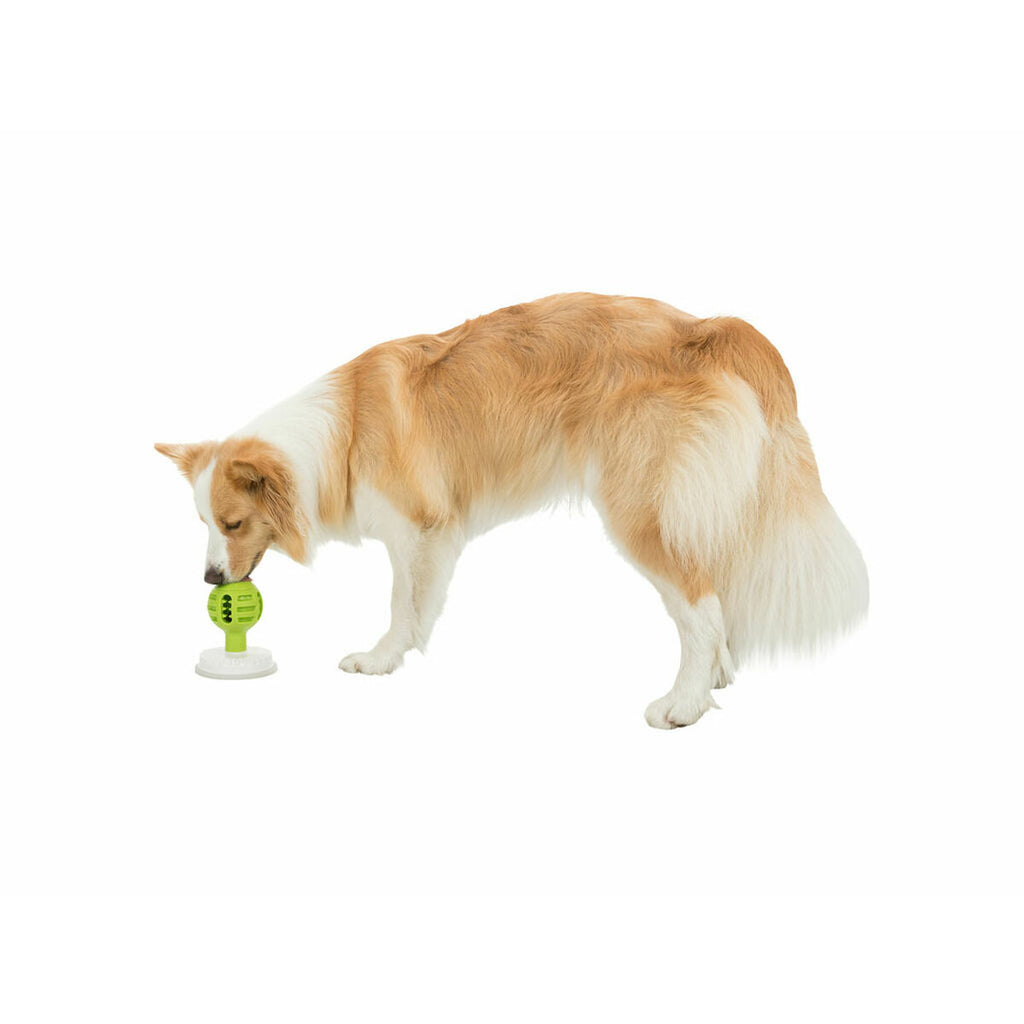 V5H2B7863C72900AA66D6D34C6470710883R6370289P9