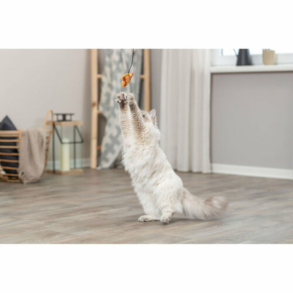 V3H1E2101873817F6BF425E83681FCF8F3ER5586841P6