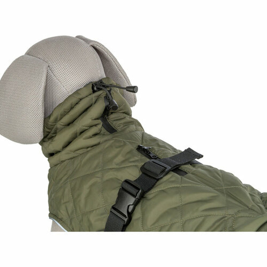 V1H7A0360F20081D8340A7E529111AA6FA6RP10