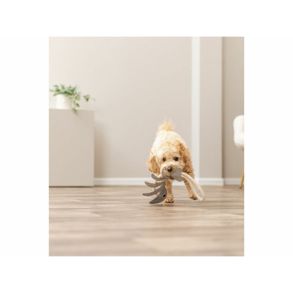 V2H790FC63176575E976A208F4DE560DAE4R7213898P5