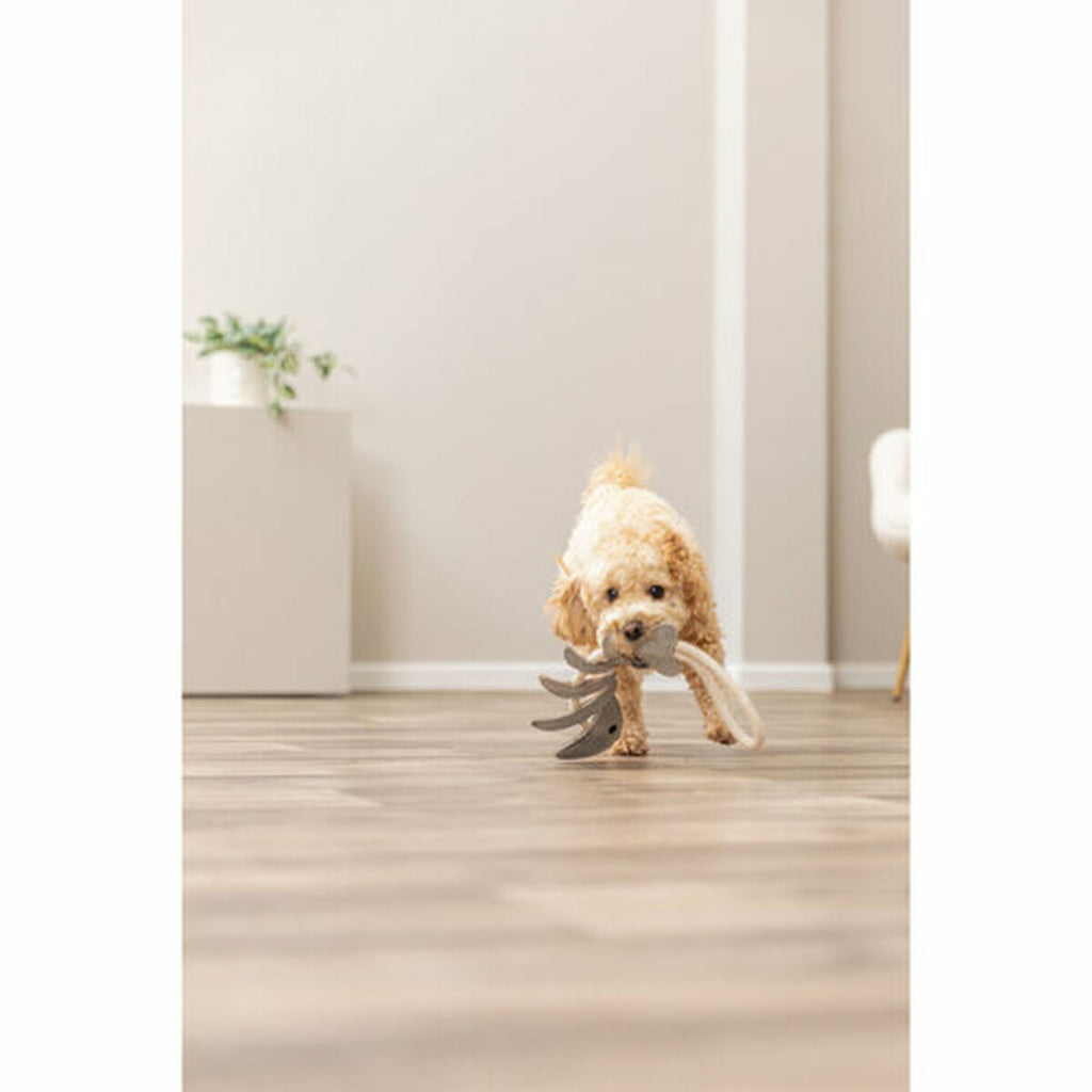 V2H09132260F4EA40B7F04A4117184BE80FR7213899P6