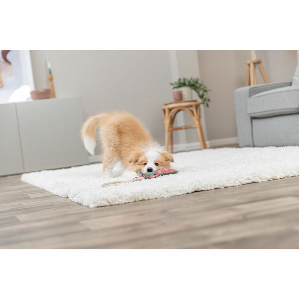 V1H447B034FCB87B90E05E08BB1567A1B21RP5