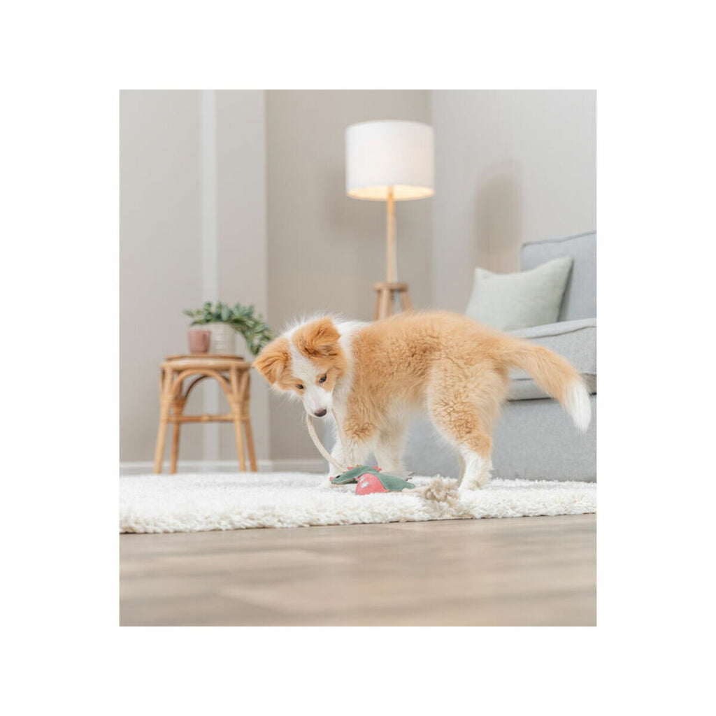 V1H8B1CEF26D7028C44C47657E2B37B45A7RP7