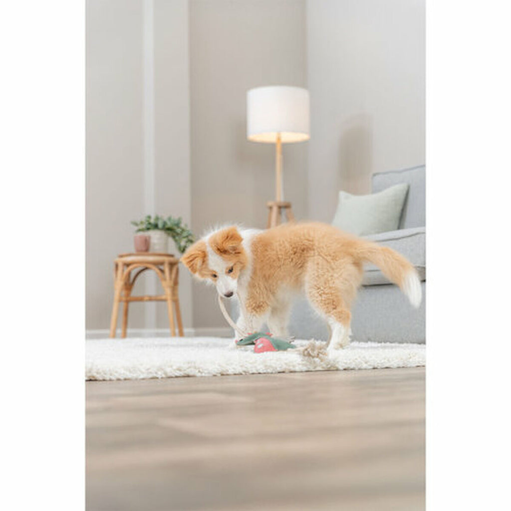 V1H0DBA6FDFAC4C397B2F937E9144F05624RP8