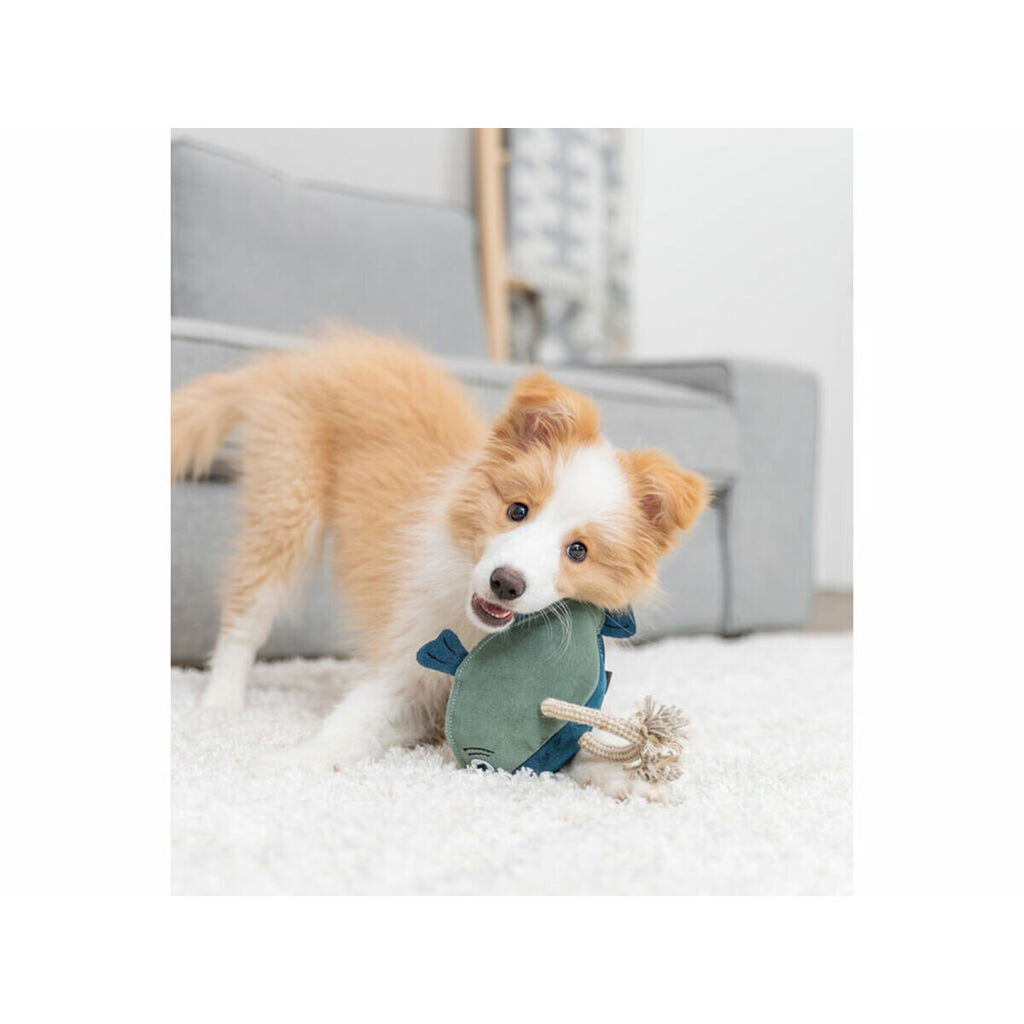 V2HED72A06EAE5B9F3E6662BC6A7CC47991R7213582P9