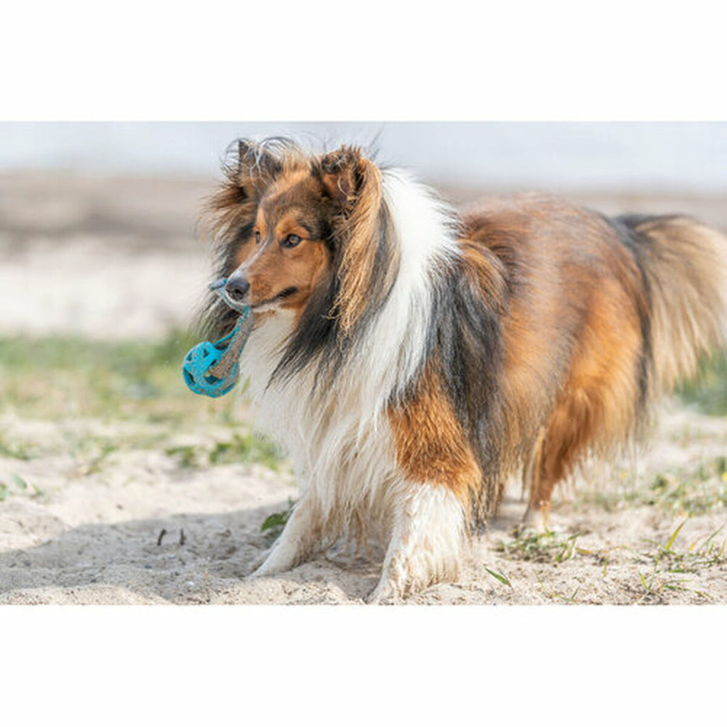 V1H47151FB1EF9D6266772E1A978CB5A2E9RP10