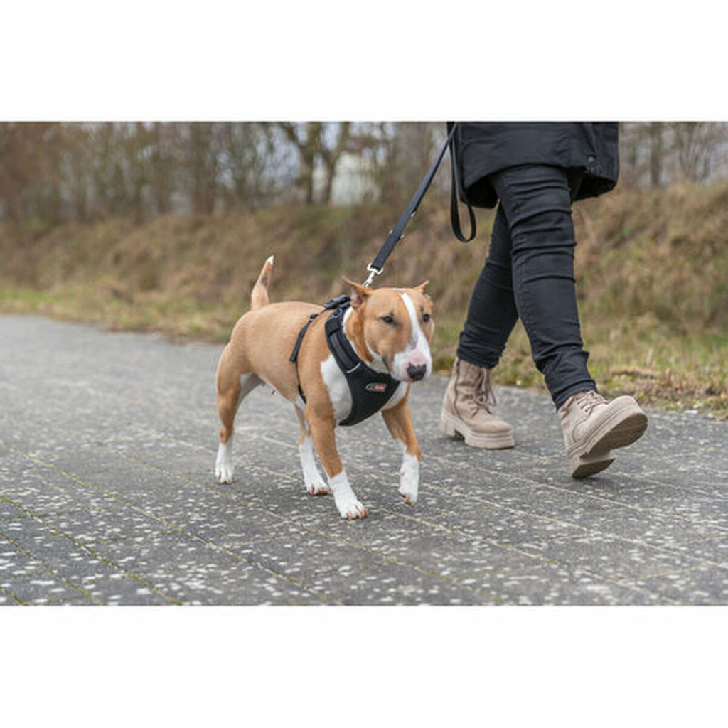 V2H9E9DF4FEDC44DAF006F608E7EAE09DB8R7252095P8