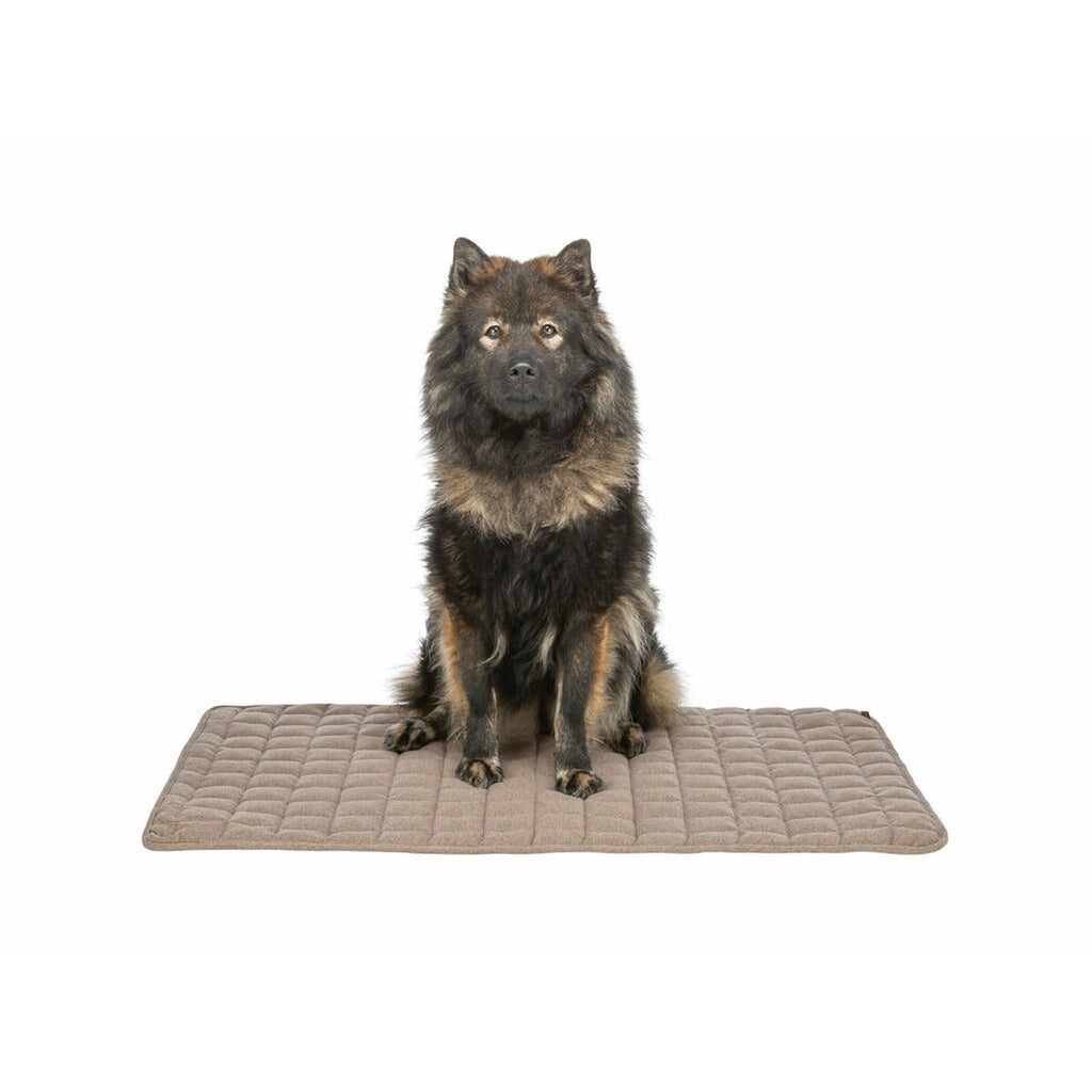 V1H17B2E00026E015E23A07AF22BD8EF5CDRP7