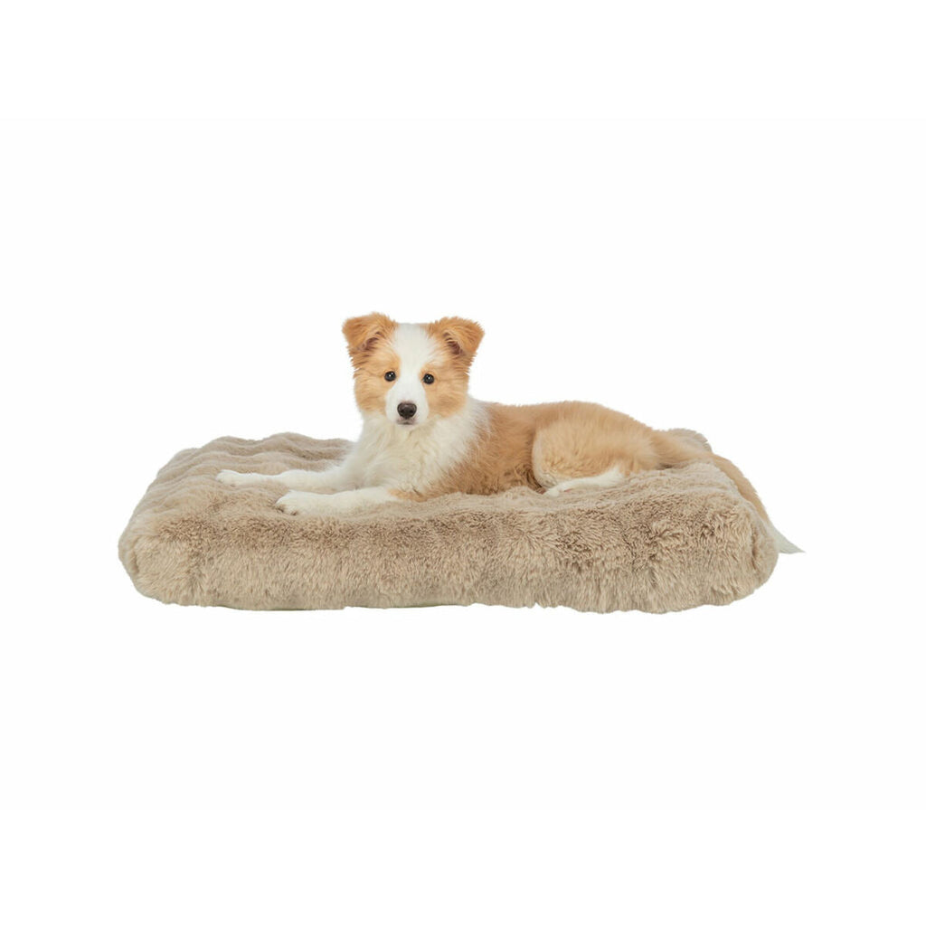 V2H9FD3C4990B4600592C80BD38EB4BD150R7422720P3