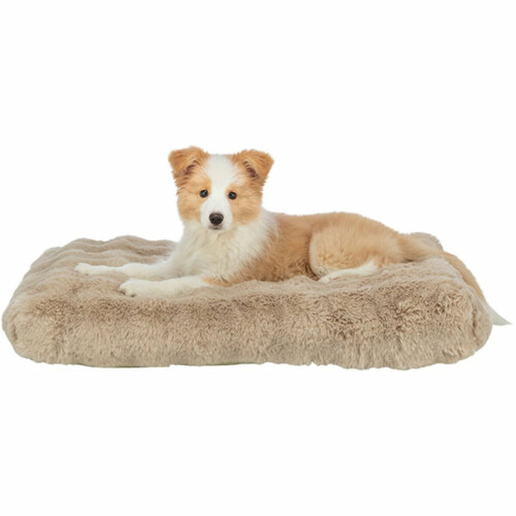 V2H9E1E19A8B53BE94EE911ABEDA50A47B5R7422722P4