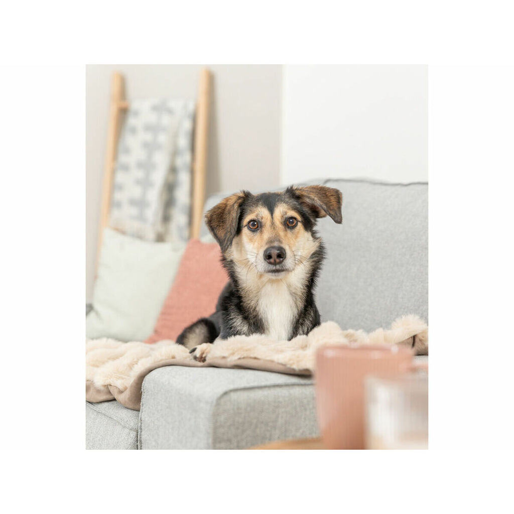 V2H2FA9FC8CA630B706A5511A7B86852406R7423414P3