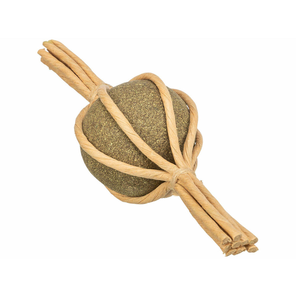 V2HE99D3B6068160C824AEDFBAA6379C8B6R7287956P3