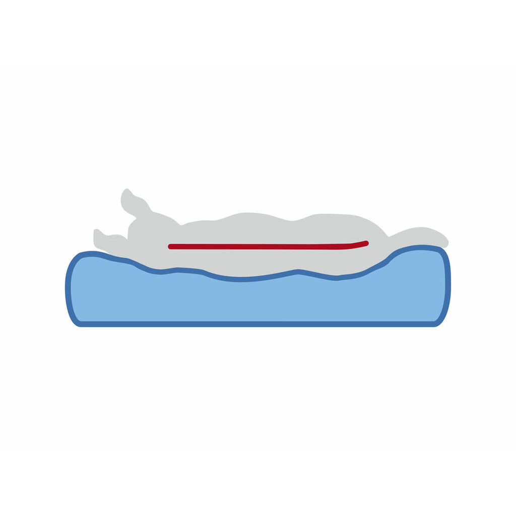 V1H4111660D2CDC2AC26AD921B028353E4BRP5