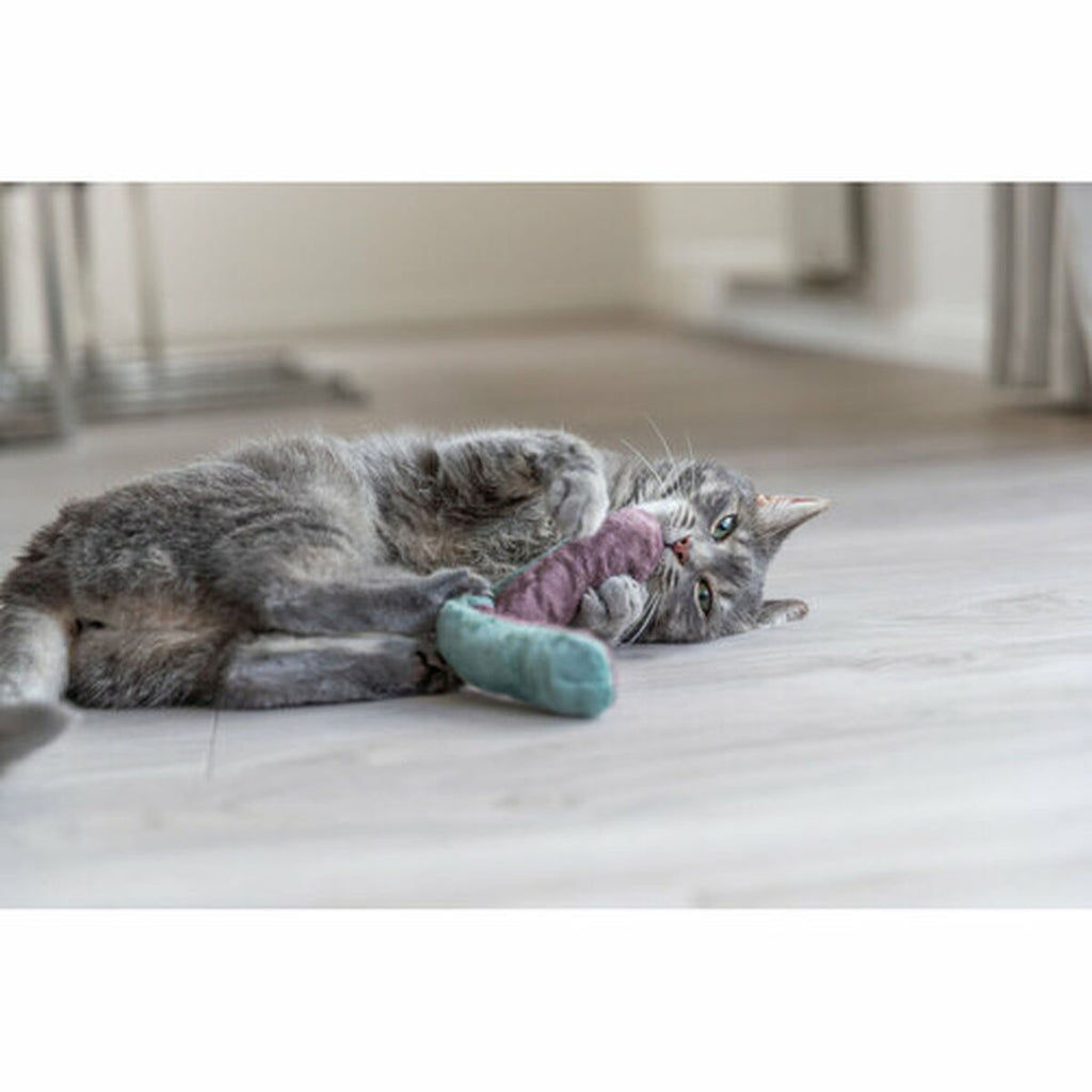 V2HA62420D676AE7FED1E5D1E691BE61245R7287902P6