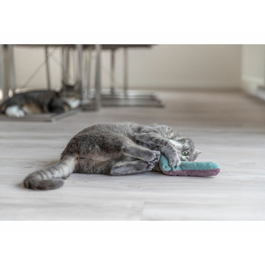 V2H633DA772E2D5EC4118FEC3ED9BF1C6B6R7287905P7