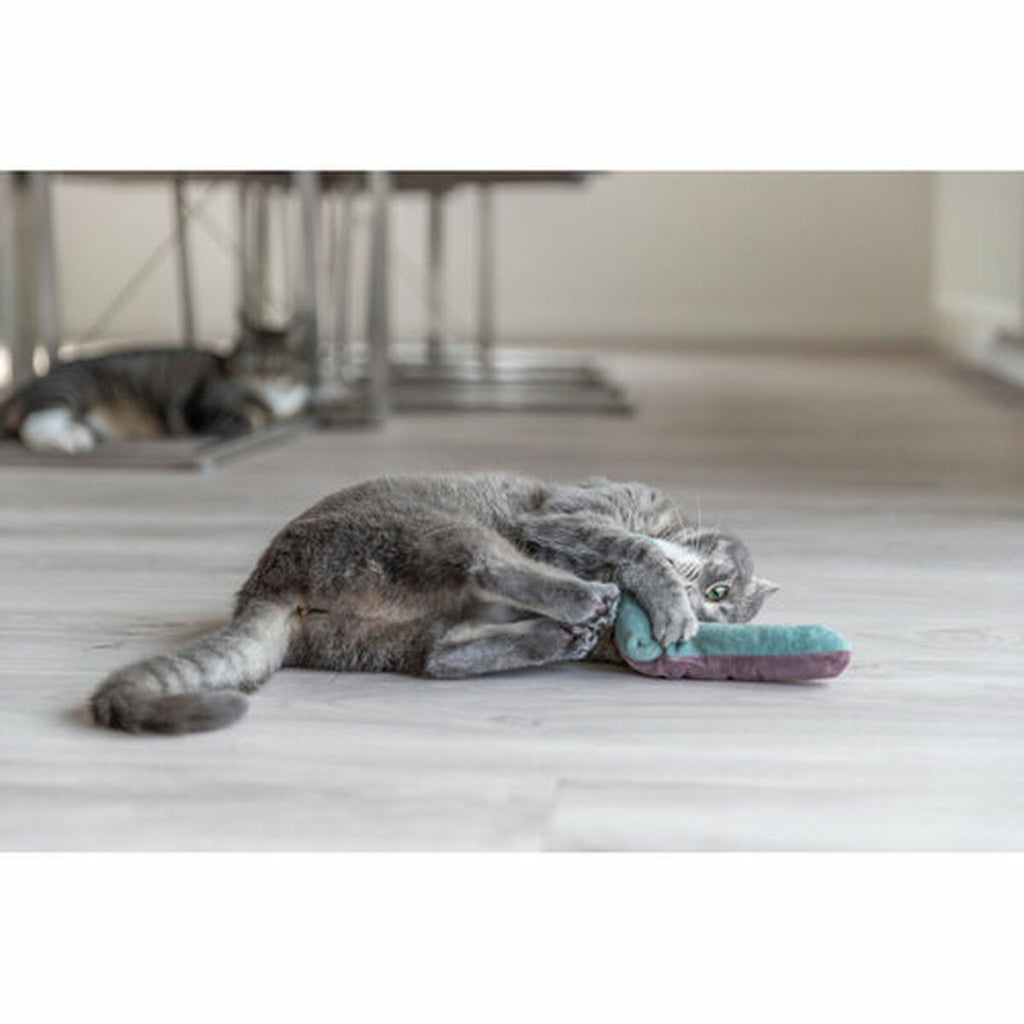 V2H553B4A7740B6FFF106CCABFD06C88995R7287906P8