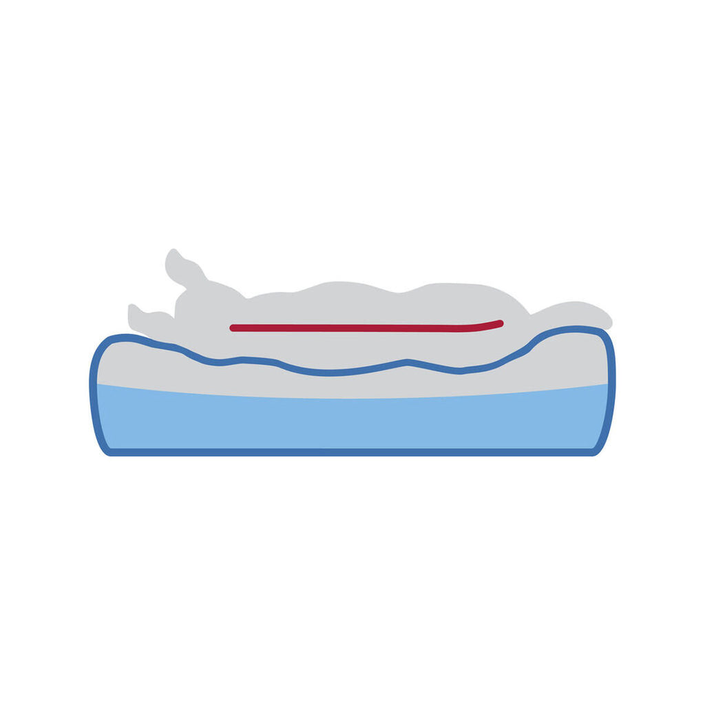 V1H2C4D4352ABD02D6DC6F294AAB14E1BF2RP9