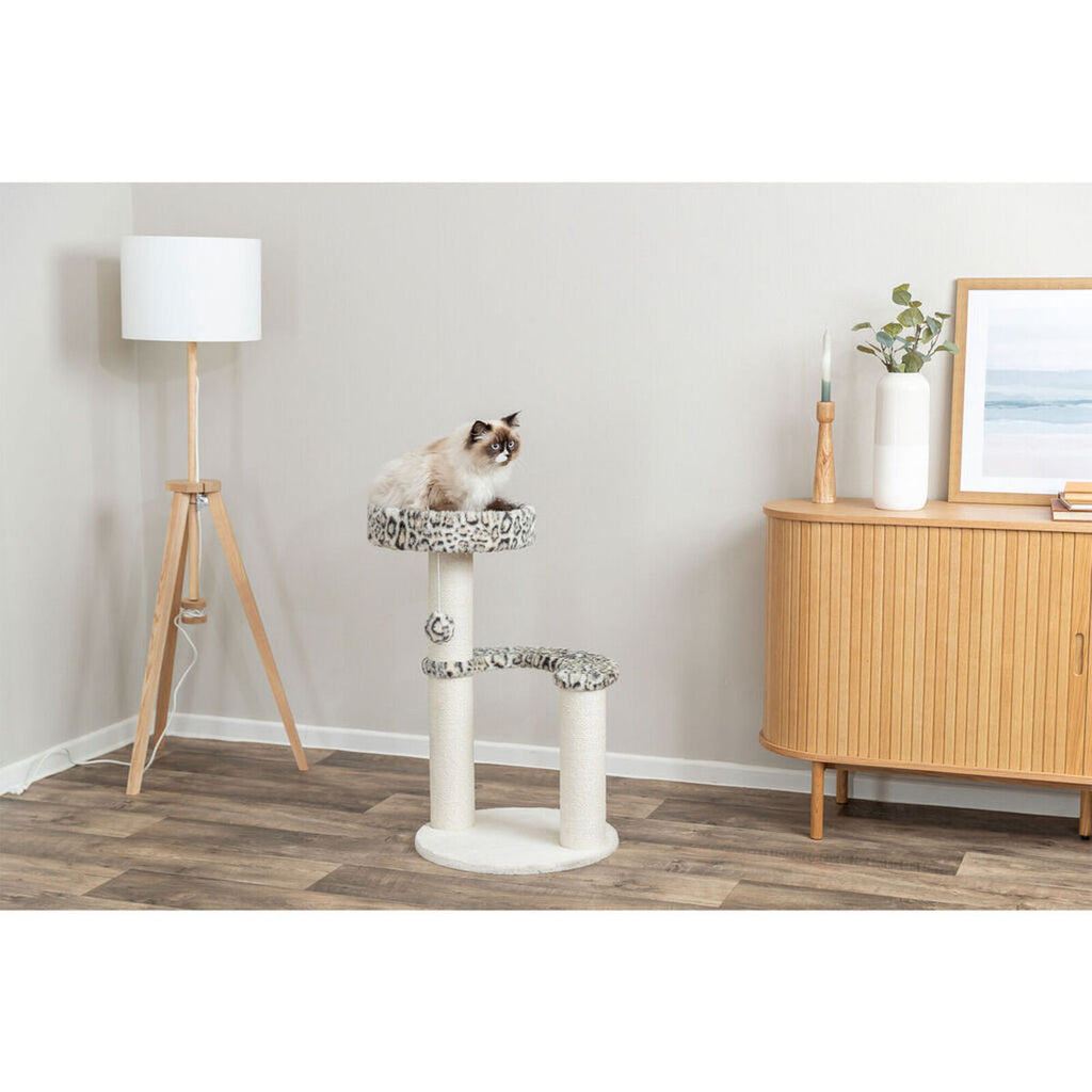 V1H65C4BF587348AF55048F0B127E6CCCA9RP5