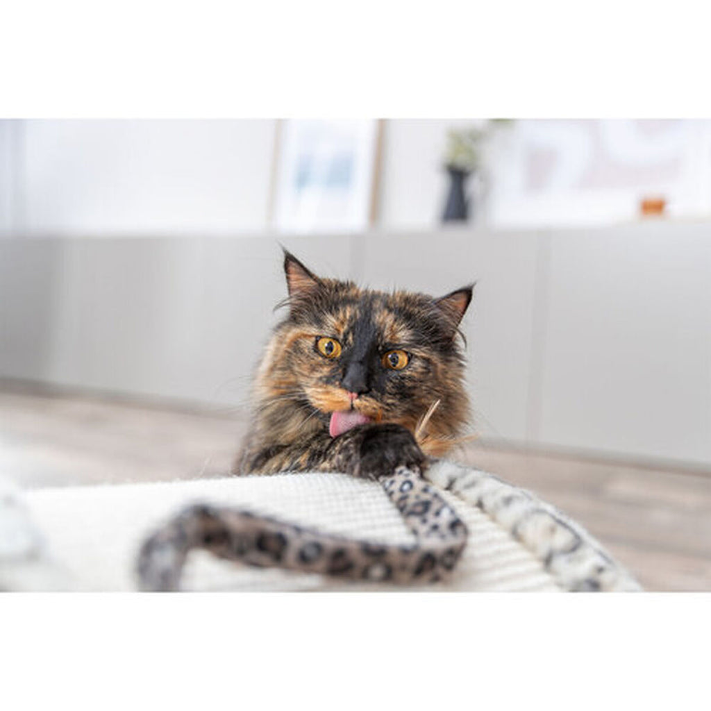 V1H1544DE079FD31D708E0053CCEC919B37RP8