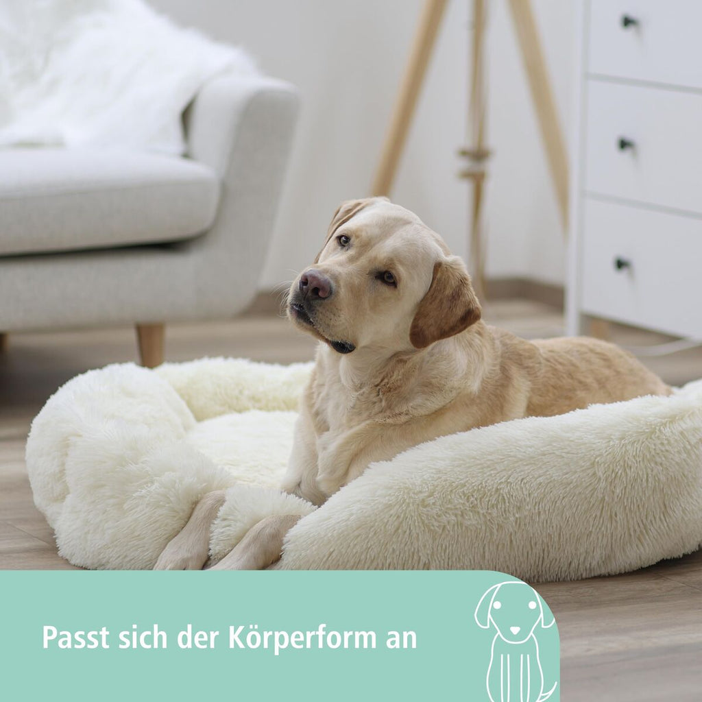 V2HE900E17C80803AFE7091DC156DBEE34AR7479897P5