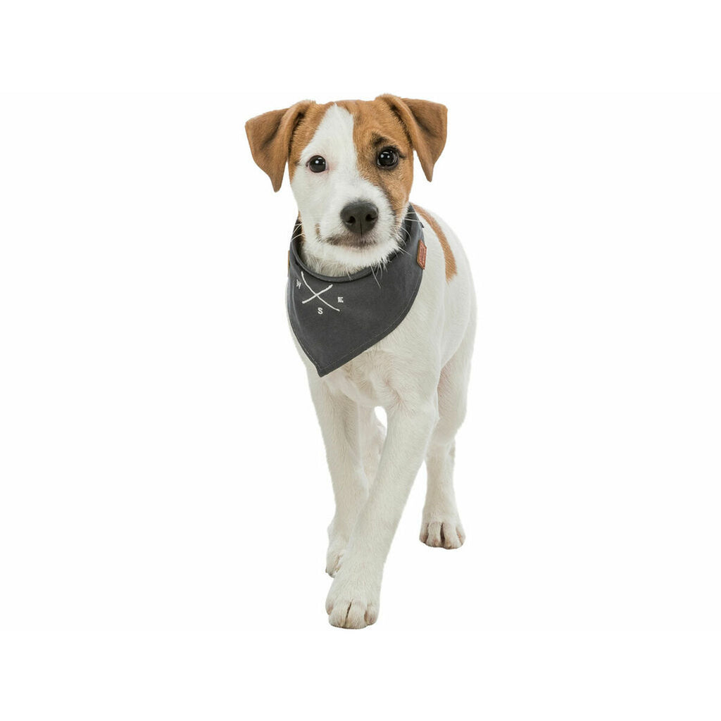 V3H146F481B258E85C7B5958FDA91BED3ADR5550204P7