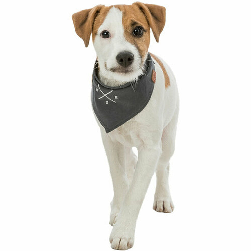 V3H05A14A0B0B7A50854A19A4FD1EE31F7DR5550206P8